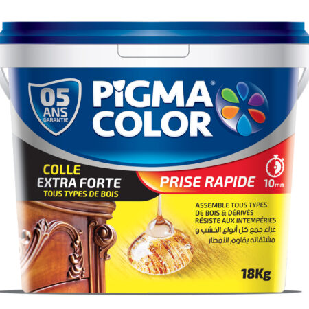 COLLA BLANC 800G PIGMA