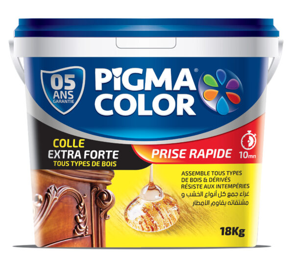 COLLA BLANC 800G PIGMA