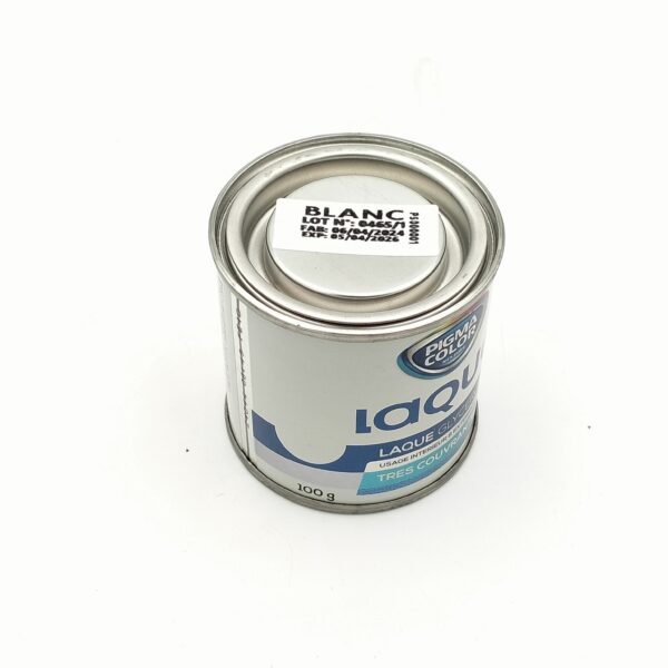 LAQUE PIGMA 100G