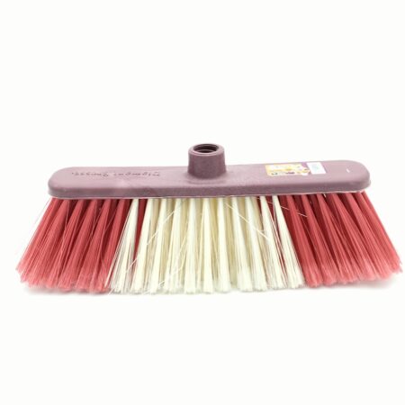 BALAIS  CARLAG RENARD  F29 20P