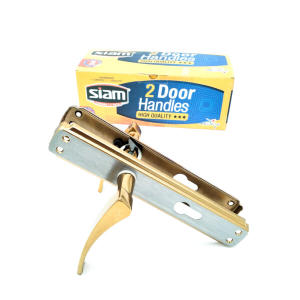 PASSE CANO SIAM DORE – Image 2