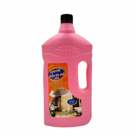 NETOIYANT DALE DE SOL BAKHIRA 1L 10PCS