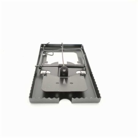 LIM RATTE GM MITAL 2 PCS