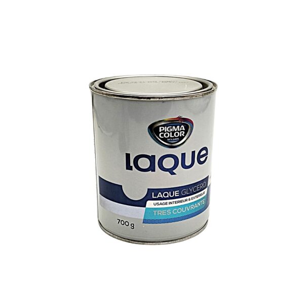 LAQUE PIGMA 700G