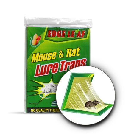 COLLA RAT LIVRE