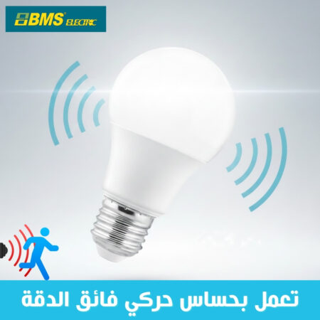 LAMPE A DETECTEUR DE MOUVEMENT 9W BMS