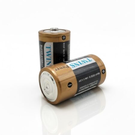 Photo00008025 PILE BATTERY TWINS R20