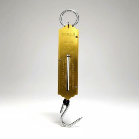 BALANCE RESSORT STARCLE 25KG ST9064