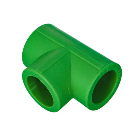 Photo00008100 PPR VERT TES 25