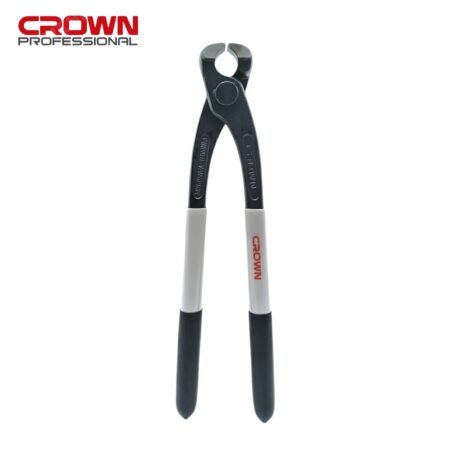 Photo00008207 TENAILLE CROWN