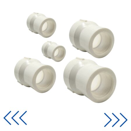 Photo00008252 TIGRE MONCHON RED