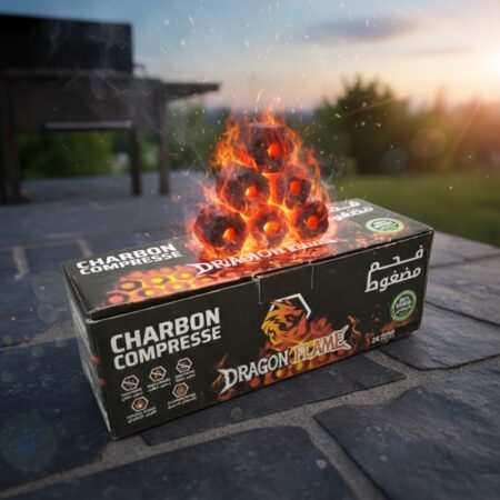CHARBON COMPRESSE CARTON 24P DRAGON FLAME