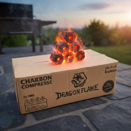 CHARBON COMPRESSE CARTON 10KG DRAGON FLAME