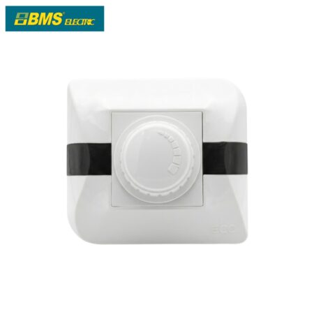 Photo00008393 VARIATEUR BMS ECO 1000W