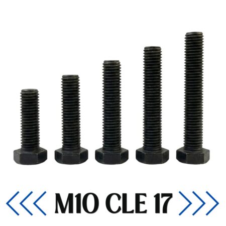 BOULON M10 CLE 17