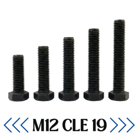BOULON M12 CLE 19