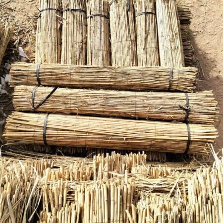 ROSEAU RL TUBE RON 1CH 03M X 02M